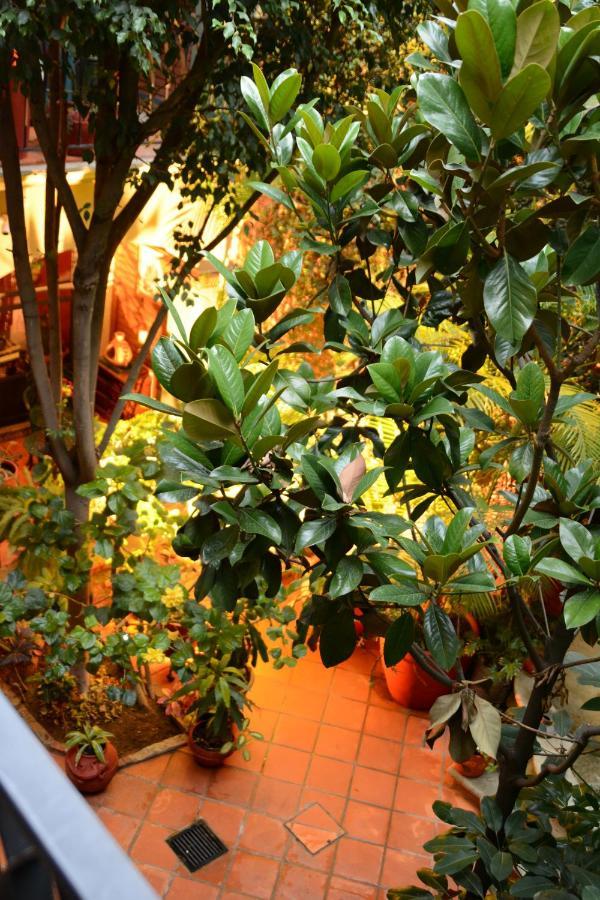 Hotel Casa Guivá Oaxaca Exterior foto